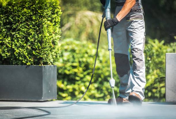 Best Solar Panel Cleaning  in New Berlinville, PA